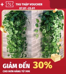 2 Bó dây leo  hoa giả hoa nhựa MeeFlower