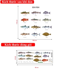 Decal dán tường Sticker dán tường in chất lượng cao có keo mặt sau mẫu Các loại cá biển DD223002