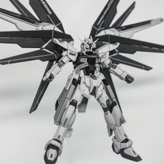 Mô hình lắp ráp Robot Gun-dam HG 1/144 Freedom (Đen)  đồ chơi Toy (Tặng Base)