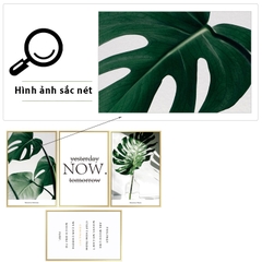 Decal dán tường Sticker dán tường in chất lượng cao có keo mặt sau mẫu hoa lá phong cách Vintage ZH44