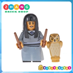 Đồ chơi xếp hình Harry Potter Hermione Trelawny Cho Chang Dean Thomas Dobby Tina Scamander Minifigures POGO PG8192