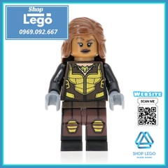 Xếp hình Batman - Vixen - Joker - Hamburglar Dormammu Captain Avalon Deadpool Spider-Man Lego Minifigures POGO PG8084