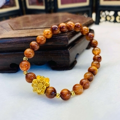 Đồng Trục Tóc Nâu