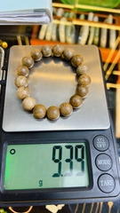 Trầm Malaysia 12 li