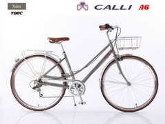 Xe đạp touring Calli A6 khung hợp kim nhôm size 27.5