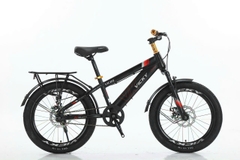XE ĐẠP ĐỊA HÌNH VICKY VIC KHÔNG ĐỀ SIZE 20-22- HÀNG NHẬP KHẨU CHÍNH HÃNG