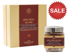 Đông Trùng Hạ Thảo Quả Thể Sấy Thăng Hoa 15g