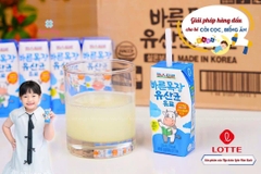 Sữa háu ăn Lotte Hàn Quốc bổ sung lợi khuẩn giúp ăn ngon tăng cân cho bé từ 1 tuổi - Sweet Baby House