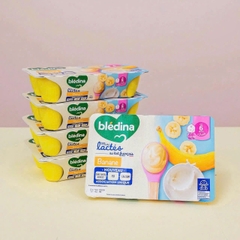 Sữa chua Bledina Pháp - Sữa chua nguội cho bé ăn dặm từ 6 tháng - Sweet Baby House