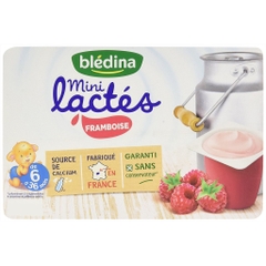 Sữa chua nguội Bledina Pháp