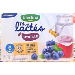 Combo sữa chua Bledina