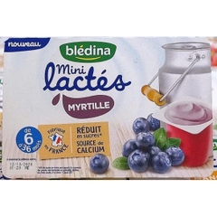 Sữa chua nguội Bledina Pháp