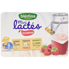 Sữa chua nguội Bledina Pháp