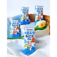 Sữa háu ăn Lotte Hàn Quốc bổ sung lợi khuẩn giúp ăn ngon tăng cân cho bé từ 1 tuổi - Sweet Baby House