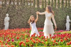 Tour Đà Nẵng 4 Ngày 3 Đêm I Huế - Hội An - Bà Nà - Ngũ Hành Sơn - Bán Đảo Sơn Trà