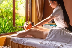 Vé Núi Thần Tài I [Gói Phổ Thông]