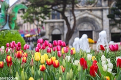 Tour Đà Nẵng 3 Ngày 2 Đêm I Huế - Bà Nà - Ngũ Hành Sơn - Hội An - Bán Đảo Sơn Trà