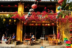 Tour Đà Nẵng 2 Ngày 1 Đêm I Cù Lao Chàm - Sơn Trà - Ngũ Hành Sơn - Hội An