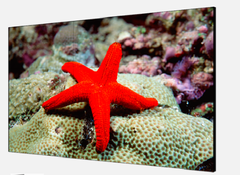 Màn hình ghép 55-inch 3.5mm LCD Display Unit