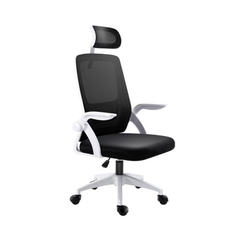 Ghế công thái học Legion YT030 White