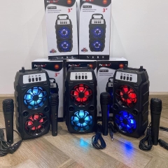 Loa Bluetooth Karaoke PTH 2311