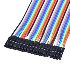 Dây cắm test board Cái Cái 10cm BẸ 40 sợi