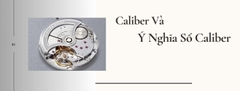 Bộ Máy Citizen Series 8, Tsuyosa & Zenshin – Caliber, Trữ Cót & Tính Năng
