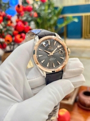 Đồng Hồ Nam Omega Automatic Seamaster Aqua Terra 231.23.39.21.06.001 ( 23123392106001 )