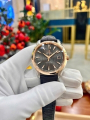 Đồng Hồ Nam Omega Automatic Seamaster Aqua Terra 231.23.39.21.06.001 ( 23123392106001 )