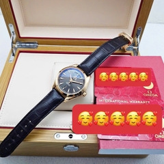 Đồng Hồ Nam Omega Automatic Seamaster Aqua Terra 231.53.42.22.06.001 ( 23153422206001 )