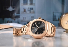 Đồng Hồ Nam Carnival Automatic 8160G-VH-D ( 8160G )  