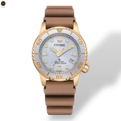 Đồng Hồ Nữ Citizen Quartz Eco-Drive Promaster Diver's 200M EO2022-02A
