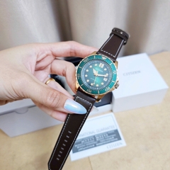 Đồng Hồ Nam Citizen Automatic NJ0173-18X