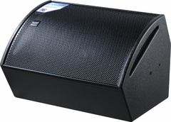 Loa Monitor 12XTI