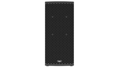Loa mở rộng LF/Sub AudioFocus CARYS C15LSa liền công suất