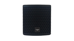 Loa toàn dải đồng trục AudioFocus CYRIS CX5 thụ động