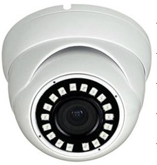 Camera hồng ngoại quan sát hành lang và trong nhà IN-DV031-IP500MSC