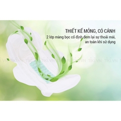 Băng vệ sinh hàng ngày Kiyomi 16 miếng