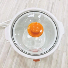 Nồi nấu cháo chậm FatZ 1.5l