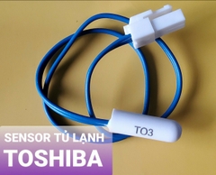 San sơ tủ lạnh Toshiba