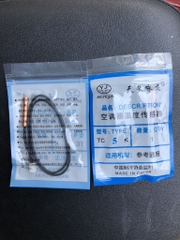 san sơ đàu ruồi 10 k