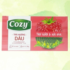 Trà cozy túi lọc hộp 50g (25 gói x 2g) - DÂU