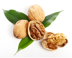 Vỏ hạt tự nhiên