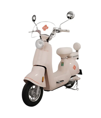 Xe điện hỗ trợ bàn đạp TAILG JS50