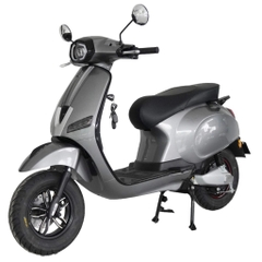 Xe điện JVCeco Platinum S