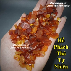 HỔ PHÁCH NGA - HỔ PHÁCH VỤN LÀM PHONG THUỶ