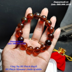 VÒNG TAY HỔ PHÁCH HUYẾT - HẠT TRÒN 16mm