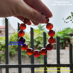 VÒNG TAY HỔ PHÁCH HUYẾT - HẠT TRÒN 16mm