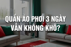 Vì Sao Quần Áo Phơi 2–3 Ngày Vẫn Không Khô Mùa Nồm? Giải Pháp Hiệu Quả Cho Gia Đình Miền Bắc