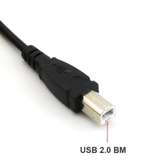 Cáp micro USB sang USB-BM cổng máy in - Cable - USB 2.0 Type B to USB Micro-B